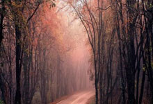 平博体育:2026爱知·名古屋亚运会拟建集装箱房屋用于运动员住宿2025-01-31.