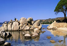 平博体育：[乒乓球]李武军：WTT出台新举措保障了运动员利益.